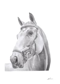 Image 3 of Klaus ~ Fine Art Print 