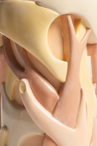 Image 4 of Applique Racines tons rose et crème
