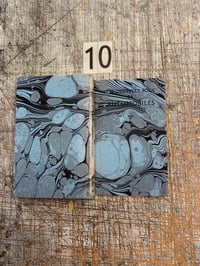 Image 15 of Hand Marbled vintage Observer's Books // range of titles available // listing two