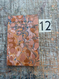 Image 22 of Hand Marbled vintage Observer's Books // range of titles available // listing two