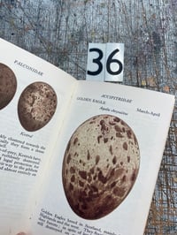 Image 25 of Hand Marbled vintage Observer's Books // range of titles available // listing six