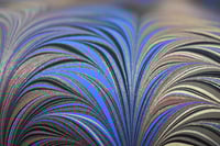 Image 2 of 202 - Blue & Brown Fern.