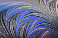 Image 4 of 202 - Blue & Brown Fern.