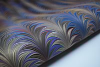 Image 5 of 202 - Blue & Brown Fern.