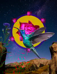 Hummingbird Collage Art Print