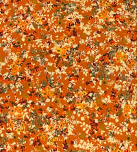 Image 5 of FallFusion