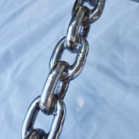 Image 2 of “Life in Chains” Apes!