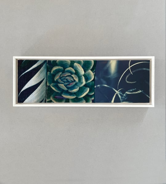 Image of Succulent feather - original framed printed fabric wall work