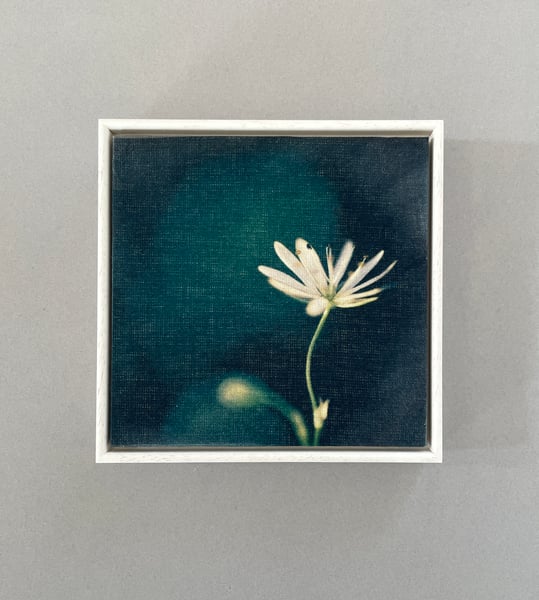 Image of Lesser stitchwort flower - original framed printed fabric wall work