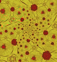 Image 1 of Nucleus