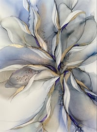 Image 1 of Whisper