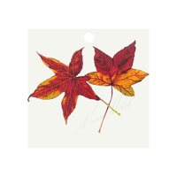 Image 1 of Botanical Gift Tags