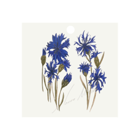 Image 2 of Botanical Gift Tags