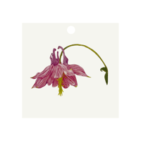 Image 3 of Botanical Gift Tags