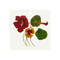 Image 4 of Botanical Gift Tags
