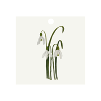 Image 7 of Botanical Gift Tags