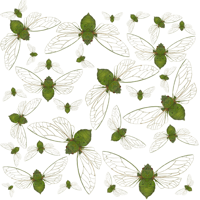 Image 3 of Insect Gift Tags
