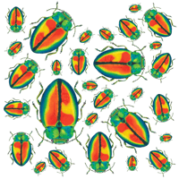 Image 4 of Insect Gift Tags