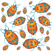 Image 7 of Insect Gift Tags