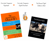 Australia Early Learning Educator Curriculum Creator