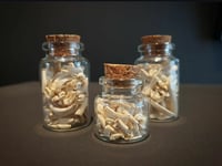 Image 1 of Teeth Jars 