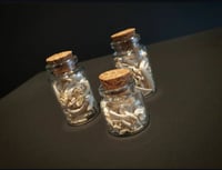 Image 3 of Teeth Jars 