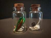 Image 1 of Beetle and Bone jars 