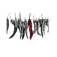 Chilli's on a string  