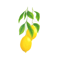  Lemon