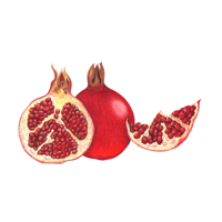 Pomegranate