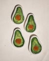 avocado magnets