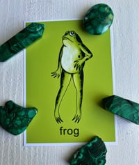 brat frog print 