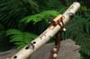 Birch & Pine of the New Forest Flute in G 432Hz
