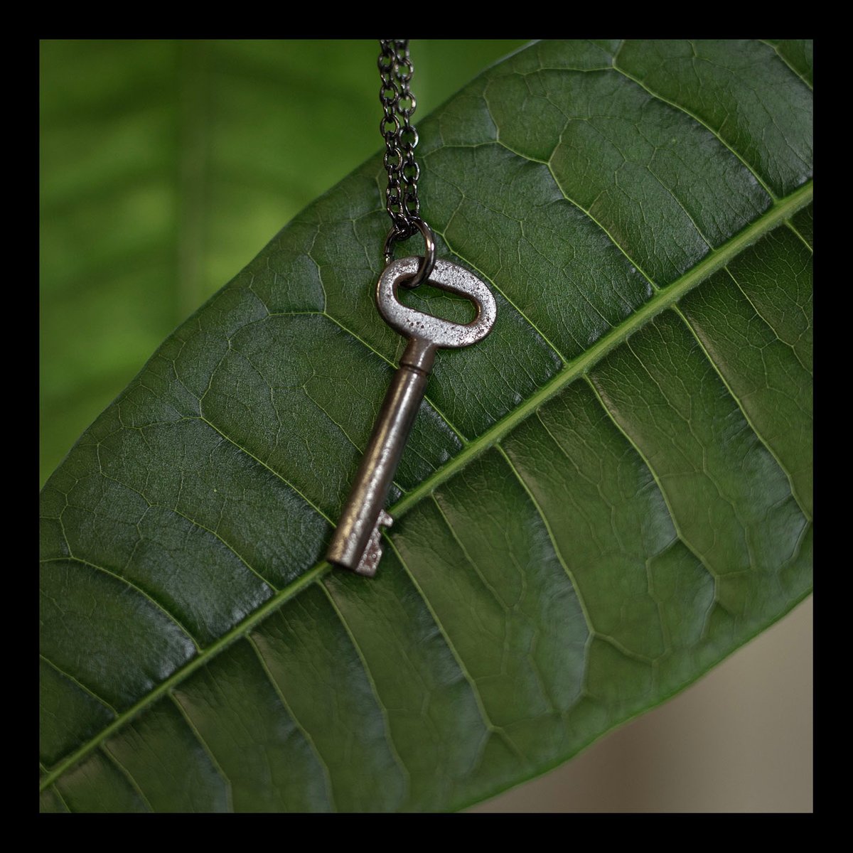 Small oval skeleton key necklace on gunmetal chain