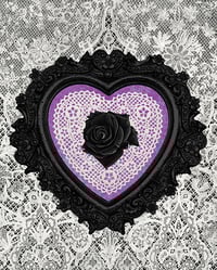 Image 1 of Black Rose