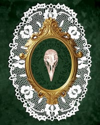 Image 1 of Bird Skull