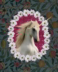 Image 1 of Unicorn