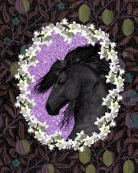 Image 1 of Dark Horse