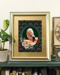 Image 2 of Flamingo