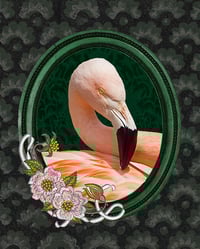 Image 1 of Flamingo