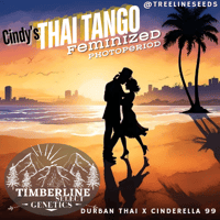 Image 3 of Timberline Select ~ Cindy's Thai Tango