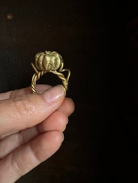 Image 5 of Cinderella pumpkin rings