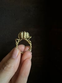 Image 1 of Cinderella pumpkin rings