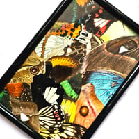 Image 2 of Butterfly & Moth Wing Framed Collage III