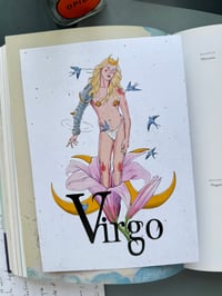 Image 2 of VIRGO