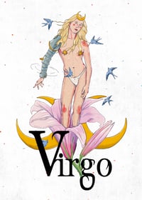 Image 1 of VIRGO