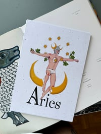 Image 2 of ARIES