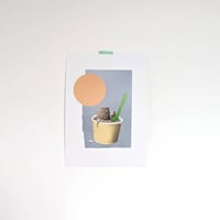 Image 4 of Summer Flavours