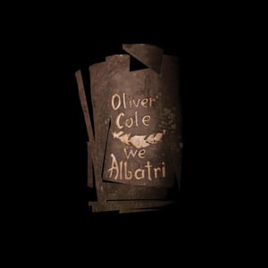 Image of We Albatri - Vinyl