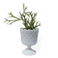 Image 2 of Scalloped Milk Glass Vessel
